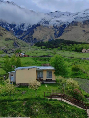 Mountain KAZBEGI Apartment